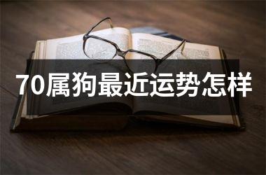 <h3>70属狗最近运势怎样