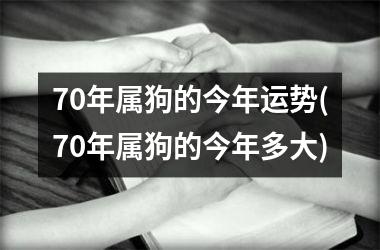 70年属狗的今年运势(70年属狗的今年多大)