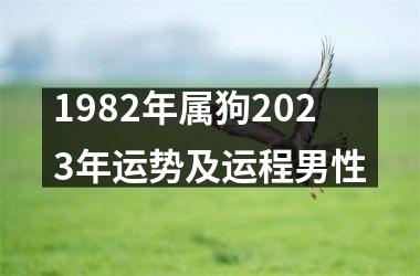 1982年属狗2023年运势及运程男性