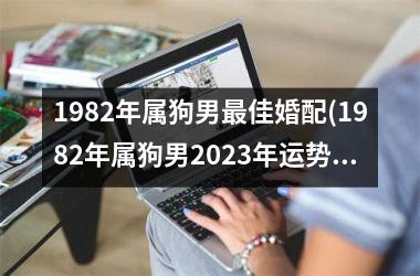 <h3>1982年属狗男最佳婚配(1982年属狗男2025年运势及运程)