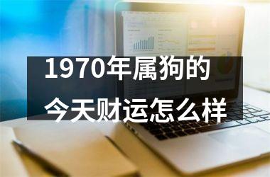 1970年属狗的今天财运怎么样