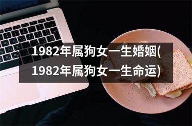 <h3>1982年属狗女一生婚姻(1982年属狗女一生命运)