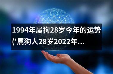 <h3>1994年属狗28岁今年的运势('属狗人28岁2022年运势展望')