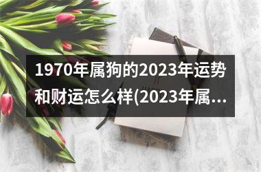 <h3>1970年属狗的2023年运势和财运怎么样(2023年属狗人运势及财运预测)