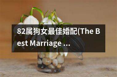 <h3>82属狗女最佳婚配(The Best Marriage Compatibility for Female Dogs born in '82)