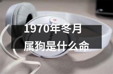 1970年冬月属狗是什么命