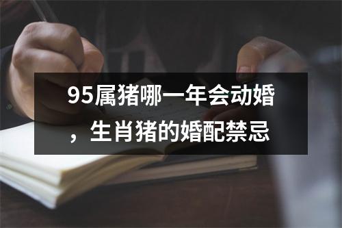 95属猪哪一年会动婚，生肖猪的婚配禁忌