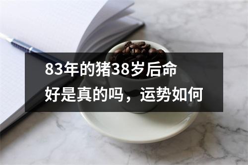 83年的猪38岁后命好是真的吗，运势如何