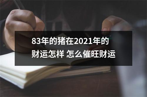 83年的猪在2025年的财运怎样怎么催旺财运