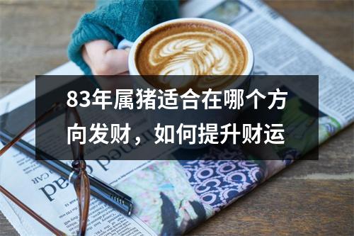 83年属猪适合在哪个方向发财，如何提升财运