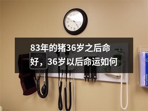 83年的猪36岁之后命好，36岁以后命运如何