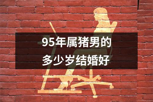 95年属猪男的多少岁结婚好