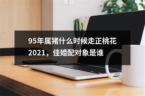 95年属猪什么时候走正桃花2025，佳婚配对象是谁