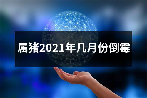 属猪2025年几月份倒霉