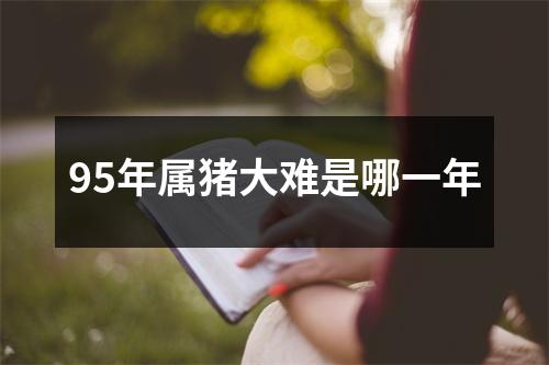95年属猪大难是哪一年