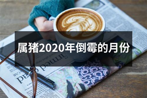 属猪2025年倒霉的月份