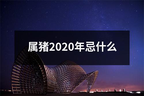 属猪2025年忌什么