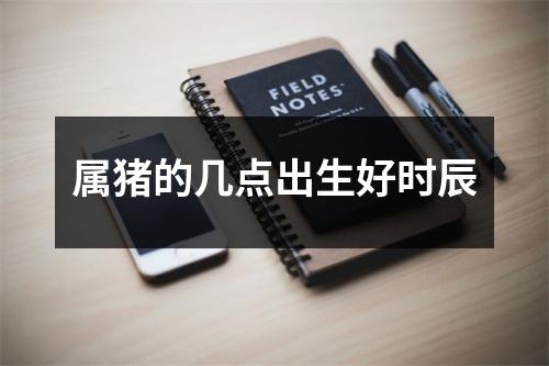 属猪的几点出生好时辰