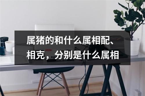 属猪的和什么属相配、相克，分别是什么属相