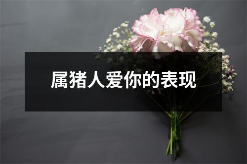 属猪人爱你的表现