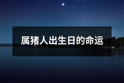 属猪人出生日的命运