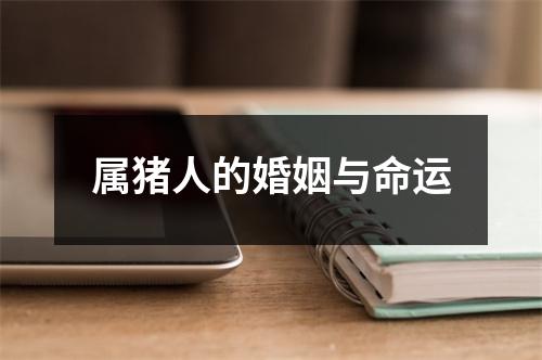 属猪人的婚姻与命运