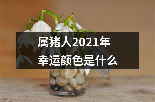 属猪人2025年幸运颜色是什么