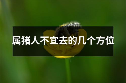 属猪人不宜去的几个方位
