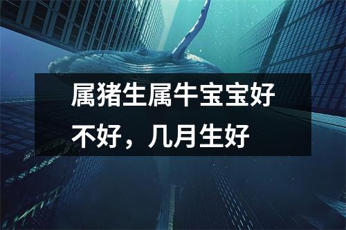 属猪生属牛宝宝好不好，几月生好