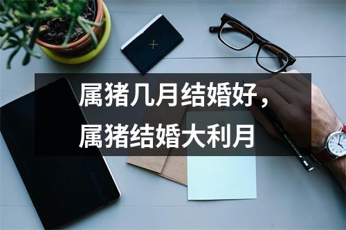 属猪几月结婚好，属猪结婚大利月