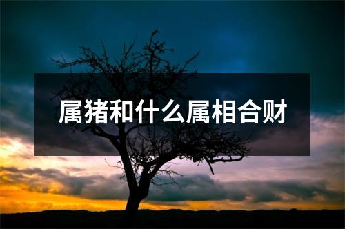 属猪和什么属相合财