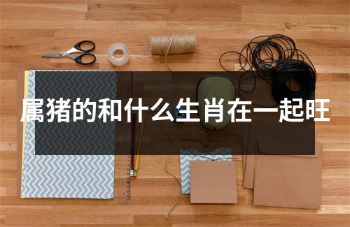 属猪的和什么生肖在一起旺