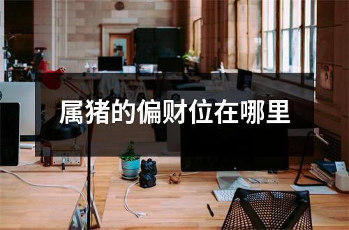 属猪的偏财位在哪里