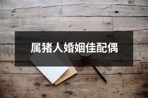 属猪人婚姻佳配偶