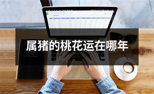属猪的桃花运在哪年
