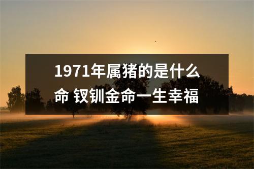 1971年属猪的是什么命钗钏金命一生幸福