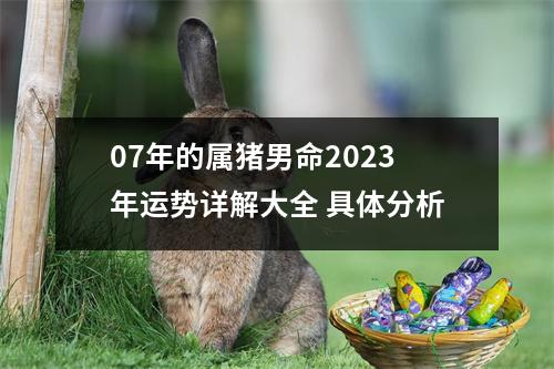 07年的属猪男命2025年运势详解大全具体分析