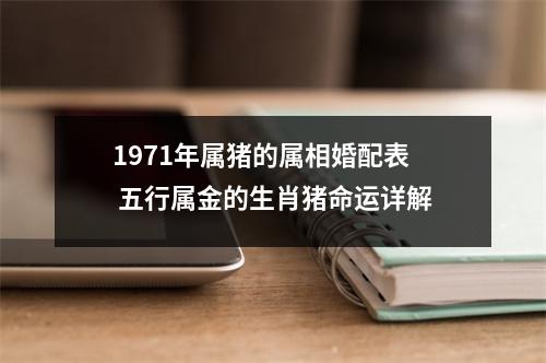 1971年属猪的属相婚配表五行属金的生肖猪命运详解