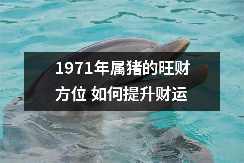 1971年属猪的旺财方位如何提升财运