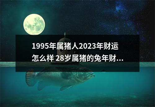 1995年属猪人2025年财运怎么样28岁属猪的兔年财气好吗
