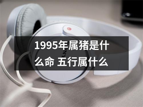 1995年属猪是什么命五行属什么