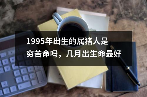 1995年出生的属猪人是穷苦命吗，几月出生命好