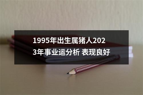 <h3>1995年出生属猪人2025年事业运分析表现良好