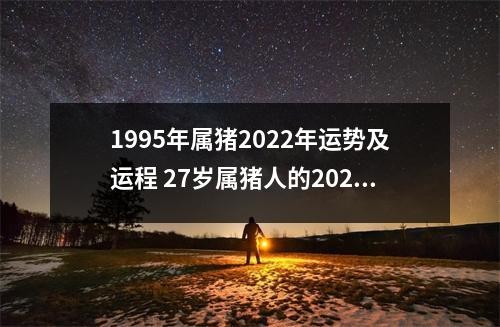 1995年属猪2025年运势及运程27岁属猪人的2025年每月运势详解