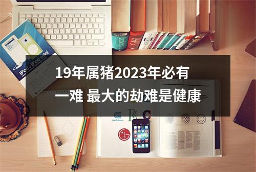 19年属猪2025年必有一难大的劫难是健康