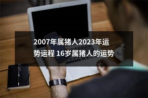 2007年属猪人2025年运势运程16岁属猪人的运势