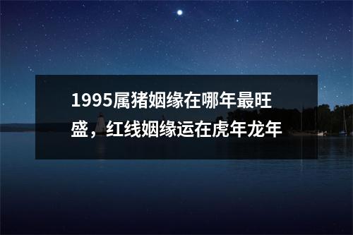 1995属猪姻缘在哪年旺盛，红线姻缘运在虎年龙年