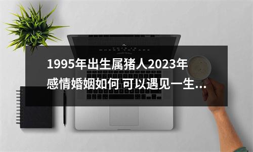 1995年出生属猪人2025年感情婚姻如何可以遇见一生的伴侣吗