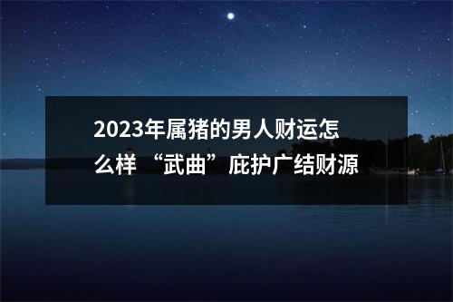 2025年属猪的男人财运怎么样“武曲”庇护广结财源