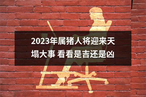 2025年属猪人将迎来天塌大事看看是吉还是凶